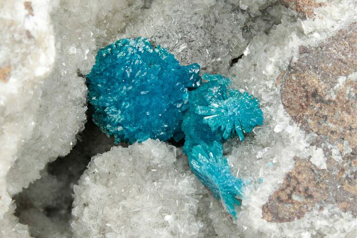 Vibrant Blue Cavansite Crystals on Sparkling Stilbite - India #340992
